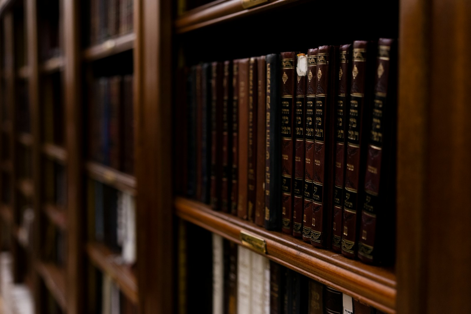 Law Books — Fountain Valley Dog Bite Lawyer, Fountain Valley CA