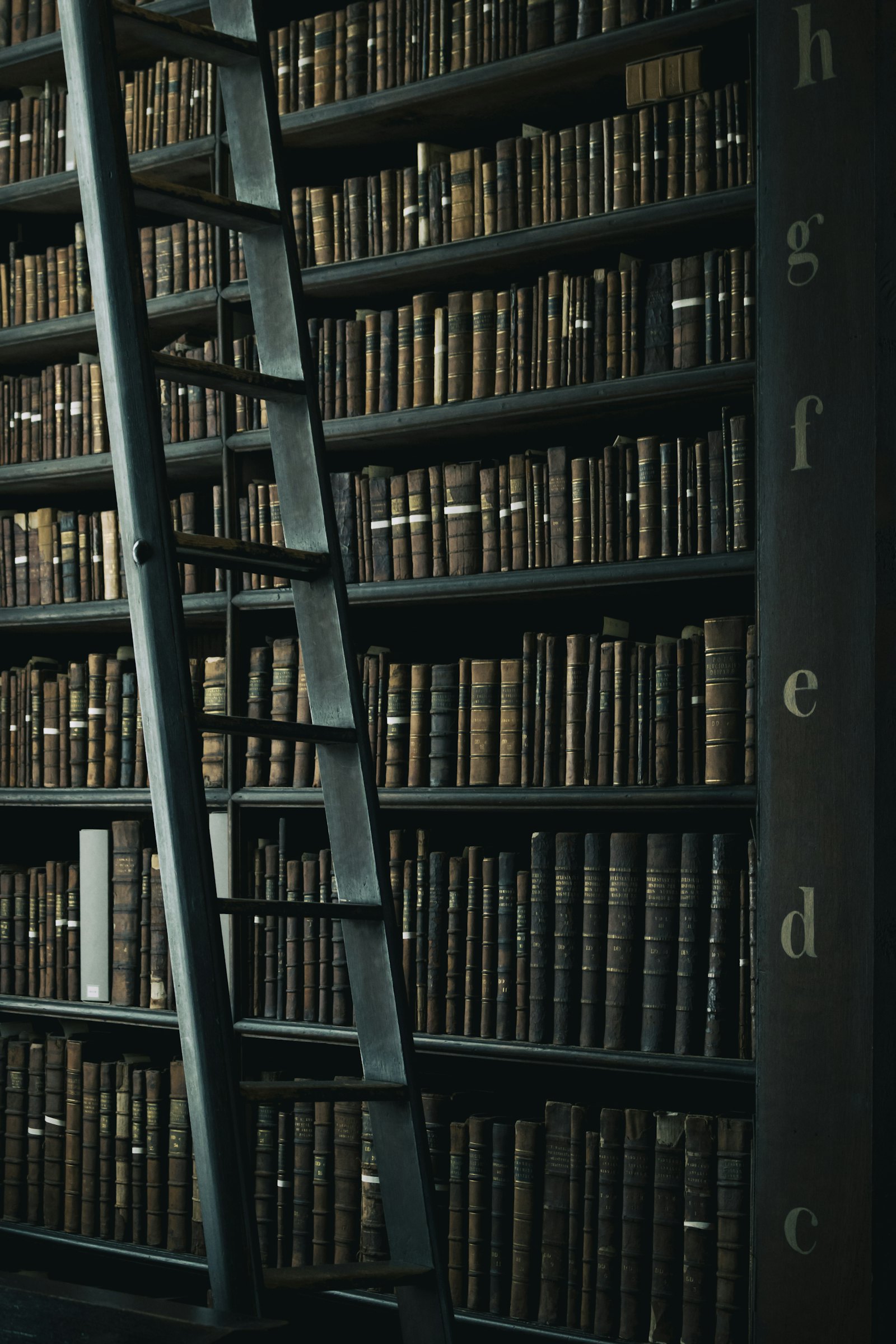Law Library — Milner Abogados Fuertes Lawyer, Los Angeles CA