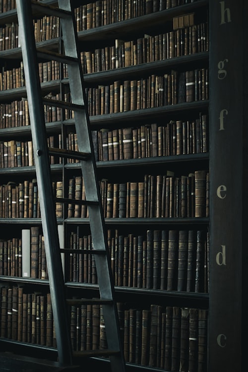 Law Library — Milner Abogados Fuertes Lawyer, Los Angeles CA