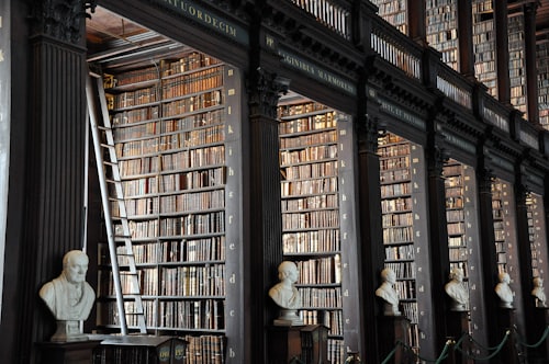 Law Library — Singer Medical Malpractice Lawyer, Redondo Beach CA