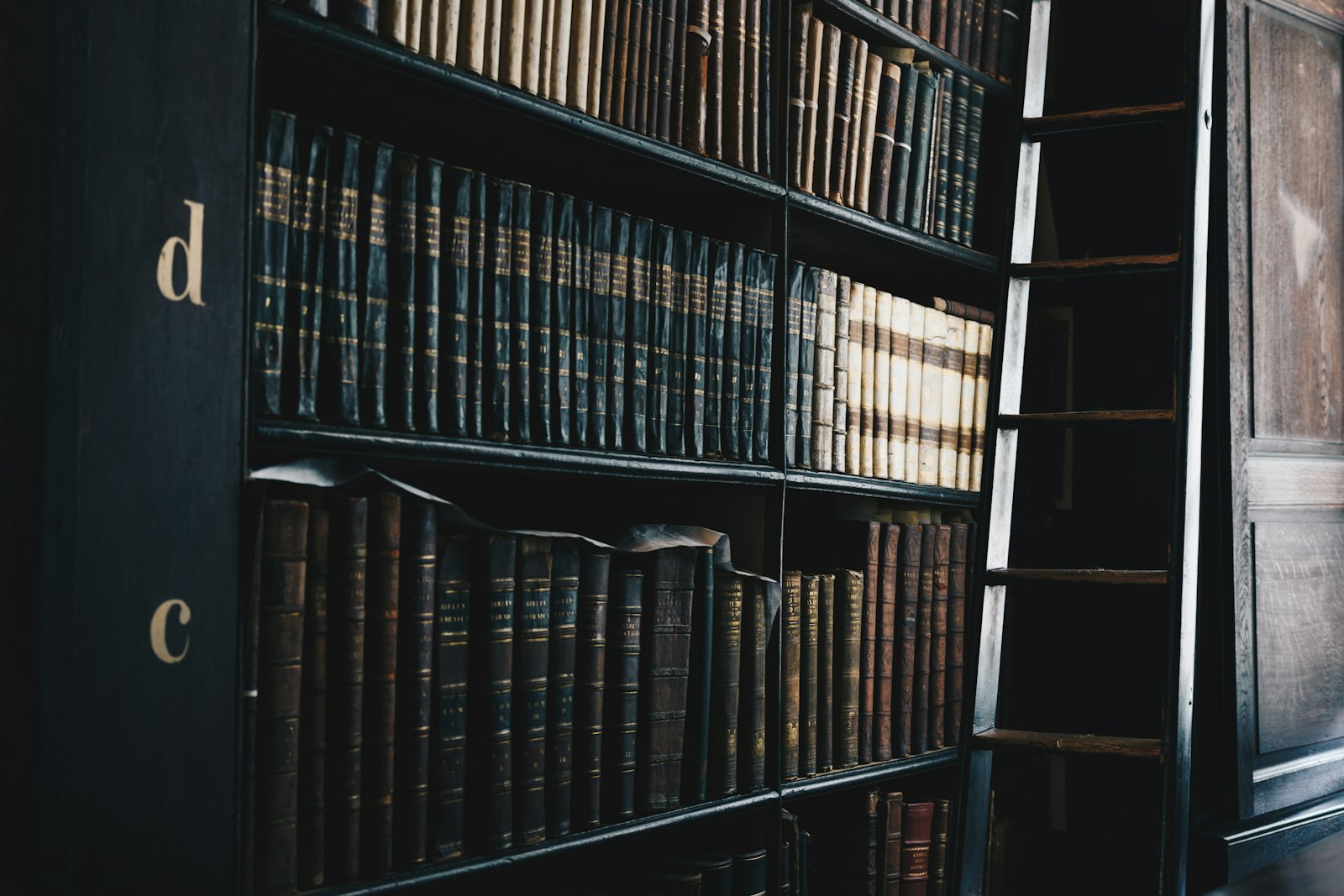 Lawyer — Big Bear City Abogados Fuertes Lawyer, Big Bear City CA